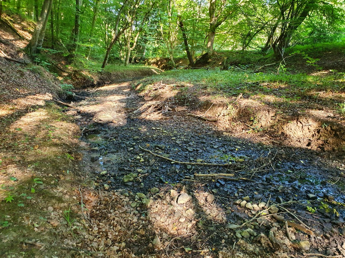 Drying River Networks and Climate Change (@dryver_h2020) on Twitter photo At #WorldWaterDay we should not forget about the prevalent and ecologically important #DryingRiverNetworks. <a href="/DRYvER_H2020/">Drying River Networks and Climate Change</a> is exploring their hydrological, ecological and socioecological trajectories under climate change. At #WorldWaterDay we should not forget about the prevalent and ecologically important #DryingRiverNetworks. <a href="/DRYvER_H2020/">Drying River Networks and Climate Change</a> is exploring their hydrological, ecological and socioecological trajectories under climate change.