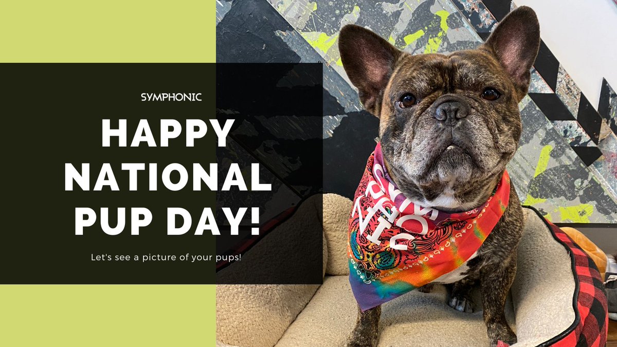 It’s #NationalPupDay! 🐶  Share a pic of your pup to enter to win a Symphonic Dog Bandana and goodies!