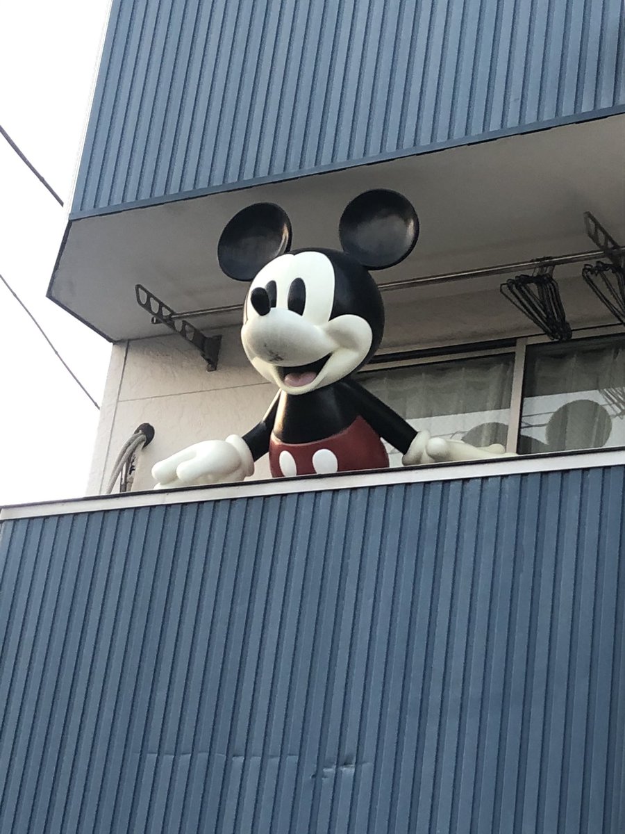 プロハンバーガー 君は住宅街を歩いていて 何者かの視線を感じ ふと見上げるとそこに相応しくない人気キャラクターが顔をのぞかせていた事はないか もしあるとしたら気をつけろよ ひょっとしたら異星人が人気キャラクターに化けて人間の情報を収集し