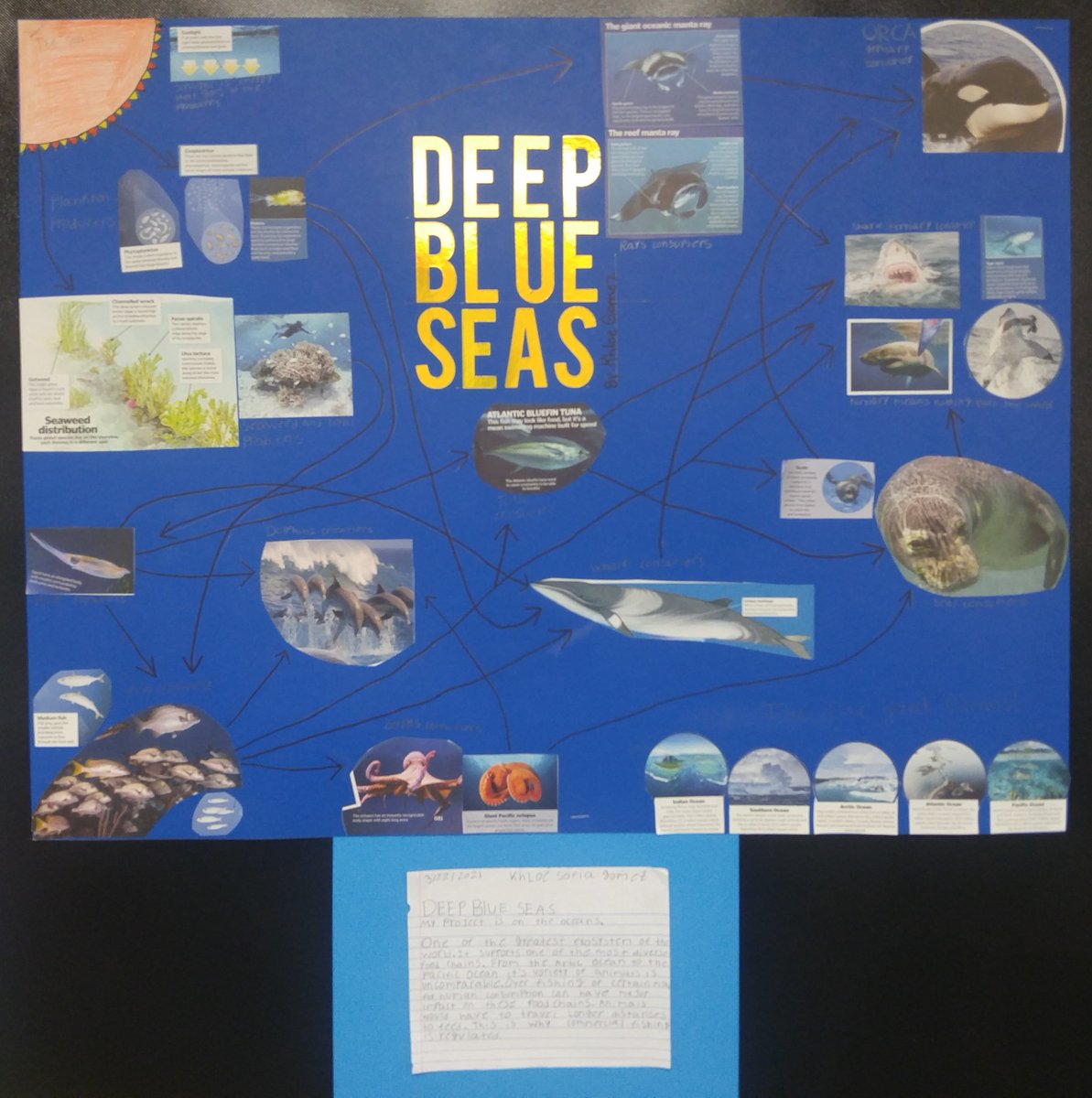 Spring Break projects!
Food Webs/Chain in an Ecosystem.
So proud of their hard work during the break!
#applyingourknowledge  #showingwhatwelearned
<a href="/StephensES_AISD/">Stephens Elementary</a>