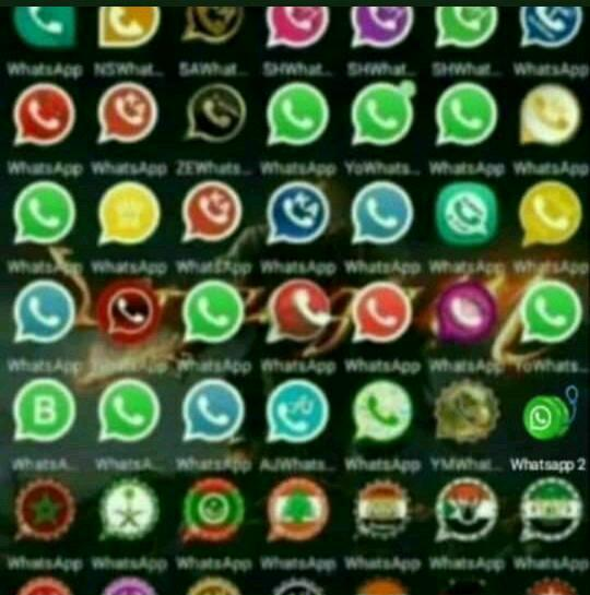 maconexx's tweet photo. whatzap 2 em breve familhaaa https://t.co/GviH6ZXnGO
