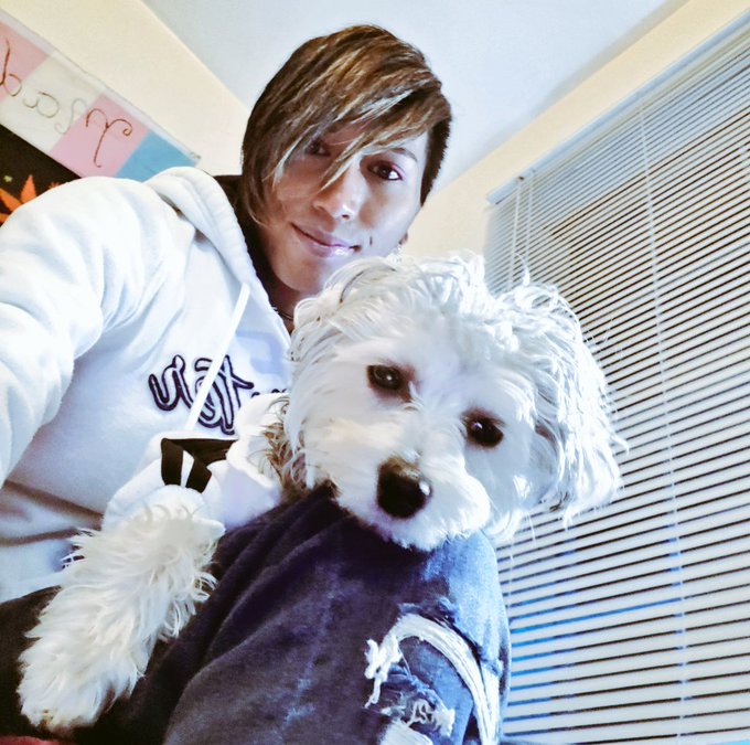 Sending Luv ???
@tvbunni @baileylove69 @KymmyHarper @TSMichaAngela 
#furbaby #love #trans #cute https://t