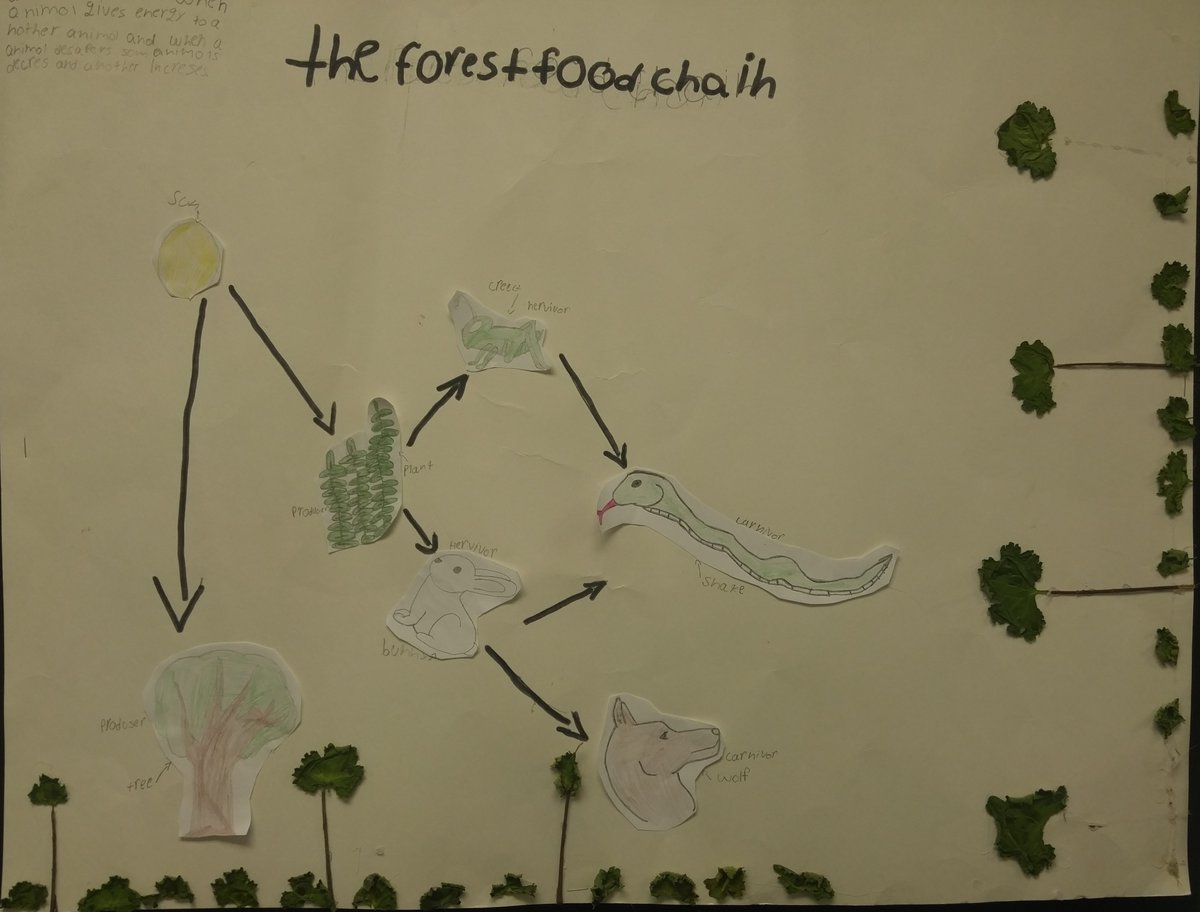 Spring Break projects!
Food Webs/Chain in an Ecosystem.
So proud of their hard work during the break!
#applyingourknowledge  #showingwhatwelearned
<a href="/StephensES_AISD/">Stephens Elementary</a>