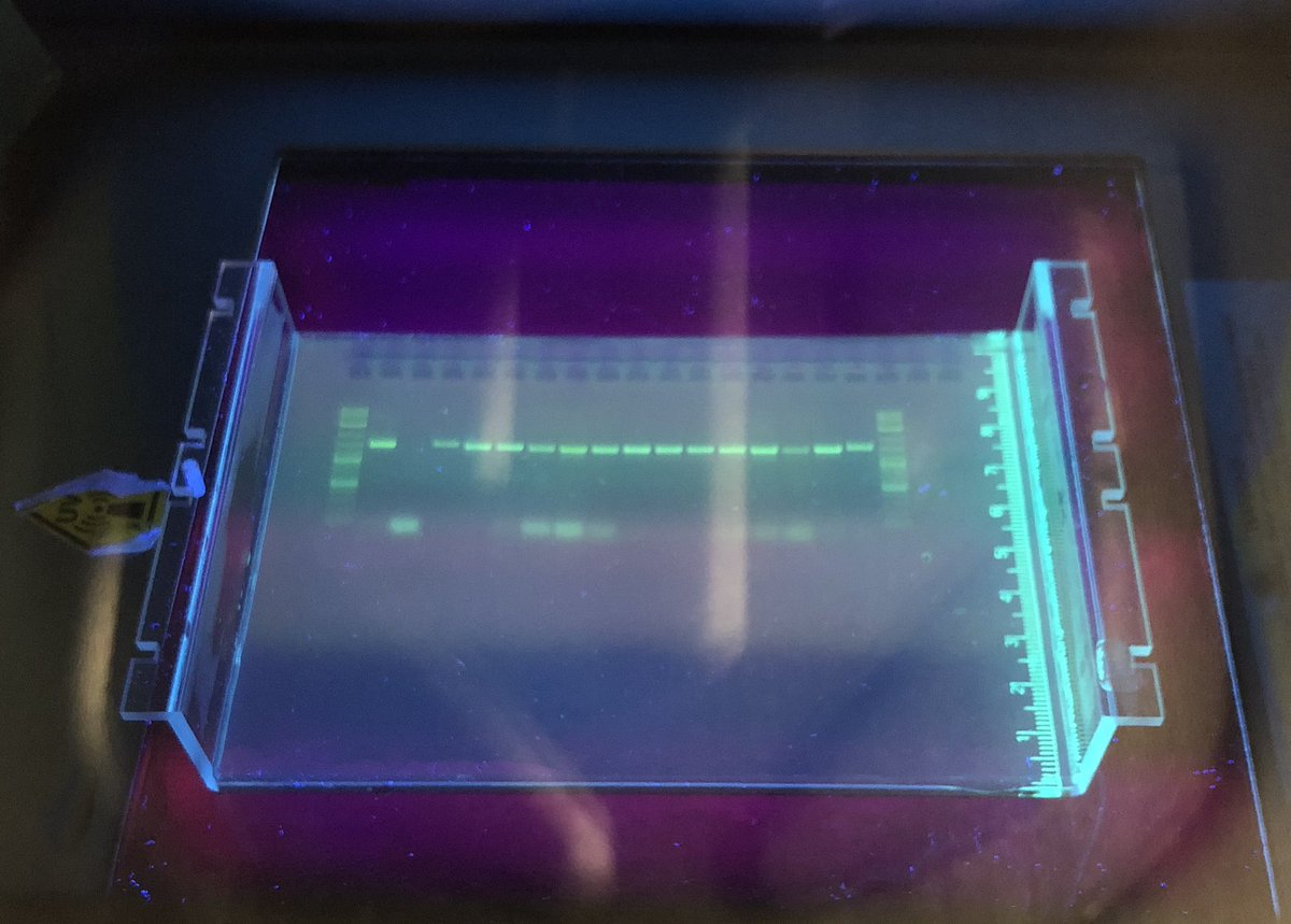 Today was a good day 🥰