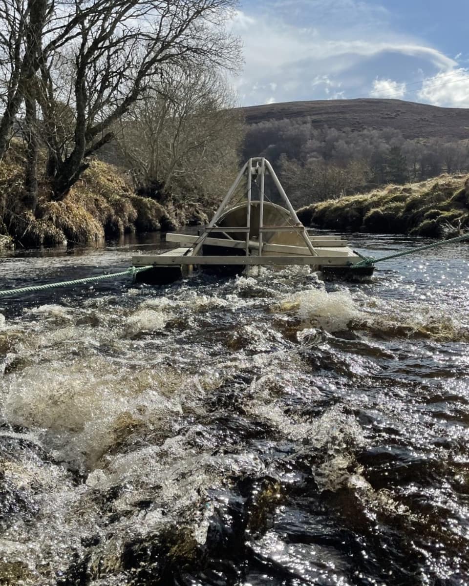 Delighted to work with @AST_Salmon for @MissingSalmon again.
15 acoustic receivers deployed ✔️
2 rotary screw traps deployed ✔️
First pre-smolt salmon caught ✔️
...aaand we're off to a good start!

#riverdeveron #conservation #wildsalmonfirst #missingsalmonproject