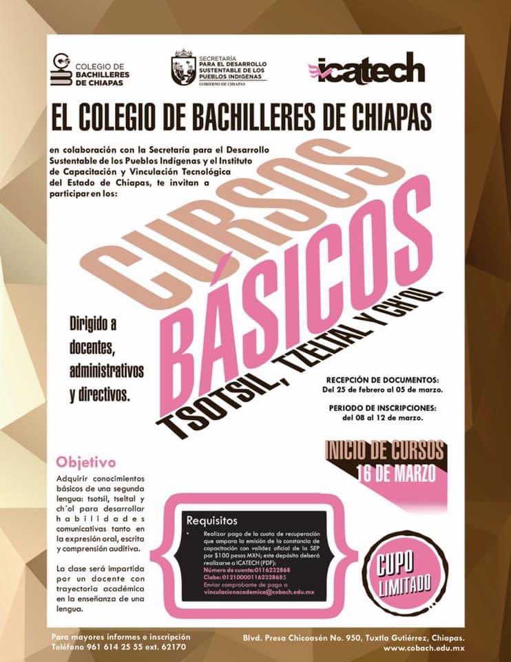 cobachchiapas's tweet photo. Tenemos una gran invitación, a participar en en estos cursos que organizamos de manera conjunta con #SEDESPI, #ICATECH y nuestro Colegio.
#EscuelasResilientesCobach
#OrgulloCobach https://t.co/Jov1wTLN4z
