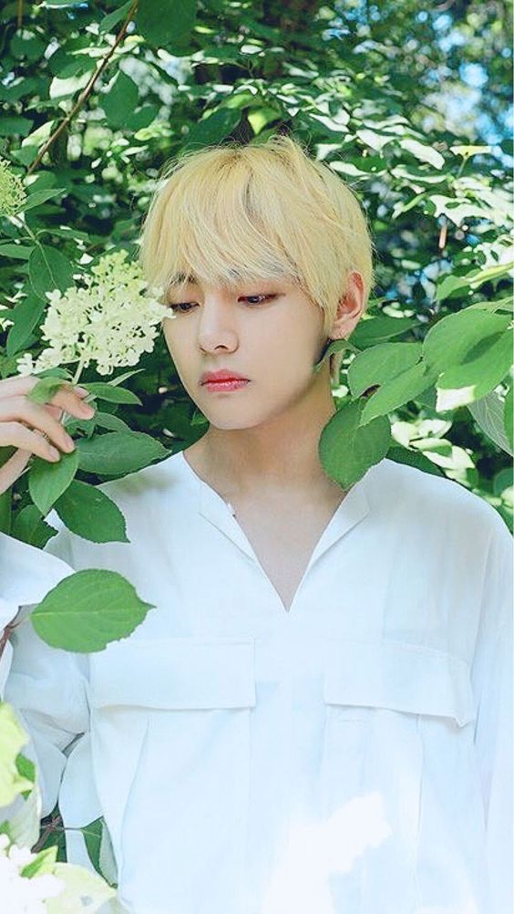 avocadohyung's tweet photo. ✩ 𝘊𝘢𝘯’𝘵 𝘩𝘰𝘭𝘥 𝘮𝘦 𝘥𝘰𝘸𝘯 𝘤𝘶𝘻 𝘺𝘰𝘶 𝘬𝘯𝘰𝘸 𝘐’𝘮 𝘢 𝘧𝘪𝘨𝘩𝘵𝘦𝘳, 𝘪𝘵’𝘴 𝘢 𝘣𝘦𝘢𝘶𝘵𝘪𝘧𝘶𝘭 𝘱𝘳𝘪𝘴𝘰𝘯 𝘵𝘩𝘢𝘵 𝘐’𝘷𝘦 𝘸𝘢𝘭𝘬𝘦𝘥 𝘪𝘯𝘵𝘰,
           𝘍𝘪𝘯𝘥 𝘮𝘦 𝘢𝘯𝘥 𝘐’𝘮 𝘨𝘰𝘯𝘯𝘢 𝘭𝘪𝘷𝘦 𝘸𝘪𝘵𝘩 𝘺𝘢.✩ https://t.co/j99bmNSoAO