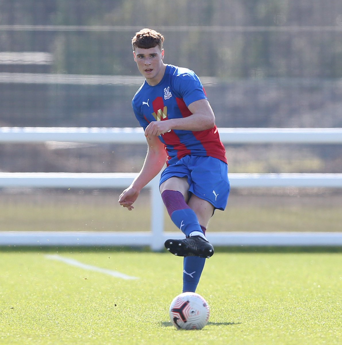 Jake O Brien (@obrienjake_) | Twitter