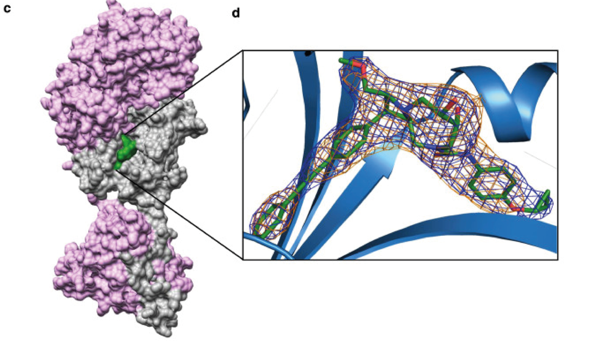 A structural basis for the inhibition of malaria cFRS by a novel series of bicyclic azetidines was solved by Shamsa et. al.  hubs.ly/H0HCKJn0

Read more here: #CalibreScientific #structurebiology #crystallisation #crystallisation