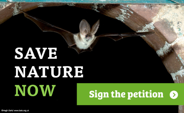 _BCT_'s tweet photo. Email your friends, contact your family and call your colleagues. We need everyone who cares about nature and wildlife in the UK to sign the #StateOfNature petition now. The #EnvironmentBill may be the last chance to get this right. #Tell5Friends https://t.co/7rkUwHc6jk https://t.co/UCYDr5FmEw