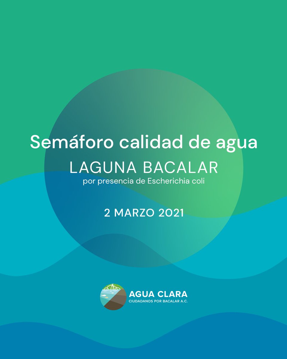 Agua Clara Ciudadanos Por Bacalar, A.C. tweet media