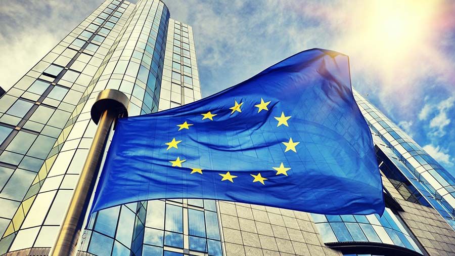 PalomoCpalomo's tweet photo. 📢 Nuestra lucha contra la #LOMLOE sigue adelante 💪💪💪 El Parlamento Europeo admite la solicitud de amparo presentada por @MasPlurales 👏👏👏 Toda la info👉https://t.co/Krn0FFzMhY #SomosFSIE🍀 #MasLibres #MasPlurales https://t.co/HSGSmIaOMT