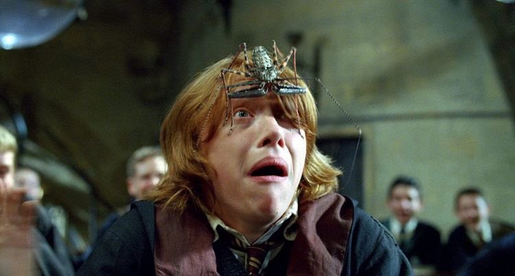 thinkwarner's tweet photo. é sempre bom exaltar as expressões do rupert como ronald weasley https://t.co/yAM6NkyGlT