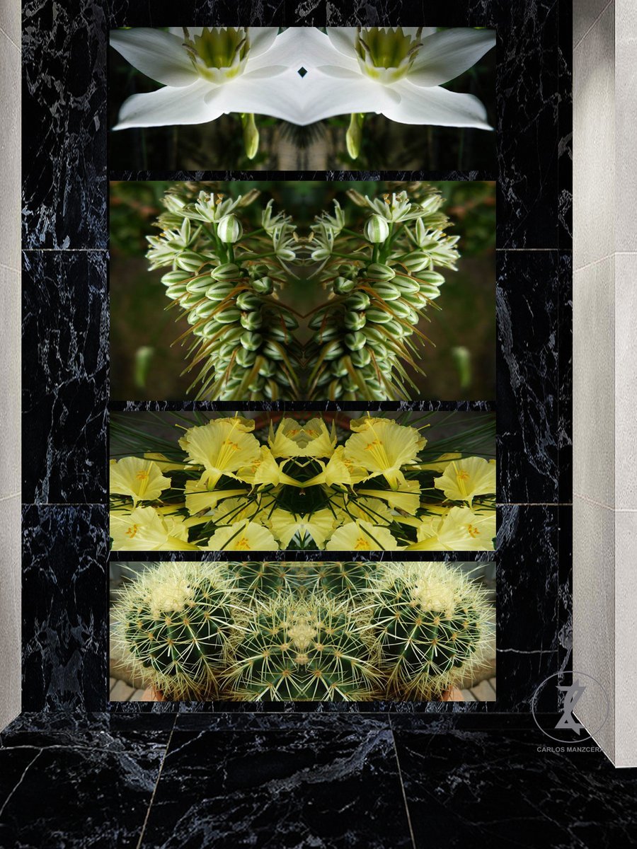 manzcera's tweet photo. Wonderful transformation of shapes and different colors, create the most beautiful flowers that illuminate life. #photo #photography #independentartists #metalprints #PictoremFamily #Pictorem #pictoremdecor #canvas #wall #fineart #photoart #spirituality #gym #architecturaldesing https://t.co/K6zLV9zBpq