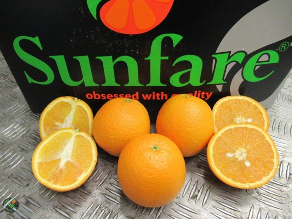FreshPlaza_com's tweet photo. "This Egyptian orange season differs vastly from last year" @Denimpex
https://t.co/rKMdL343Ub https://t.co/06CHPjENyG