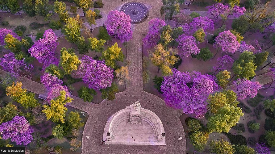 ohcdmx's tweet photo. ¡Holaaa primavera! 😍 https://t.co/PfJiAzMZi5
