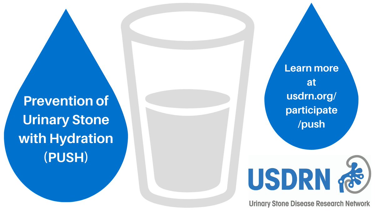 USDRN_Research's tweet photo. #USDRN Research | As #kidneystones skyrocket in the U.S., researchers are turning to tech for answers. Learn more about the PUSH (Prevention of Urinary Stones with Hydration) study. | https://t.co/9t8uG35oEt @DCRINews @NIH @NIDDKgov #nationalkidneymonth https://t.co/tLRMzJDJHK