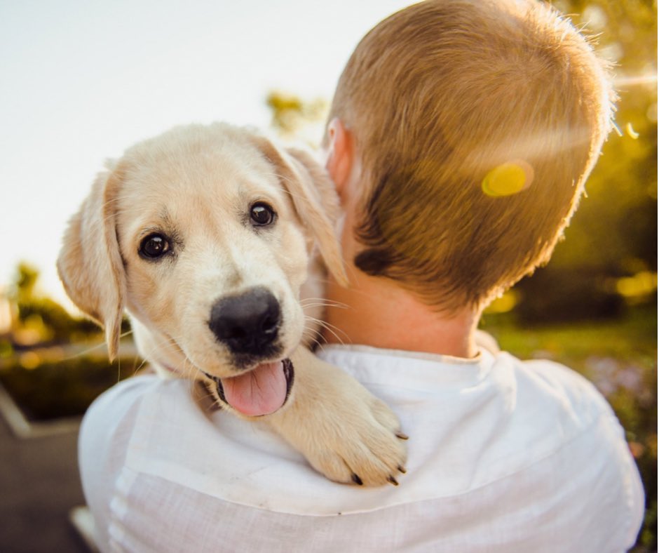 maventracker's tweet photo. Happy National Puppy Day!! 🐶 ⁣⁣
#nationalpuppyday https://t.co/2MKkJV5LkU