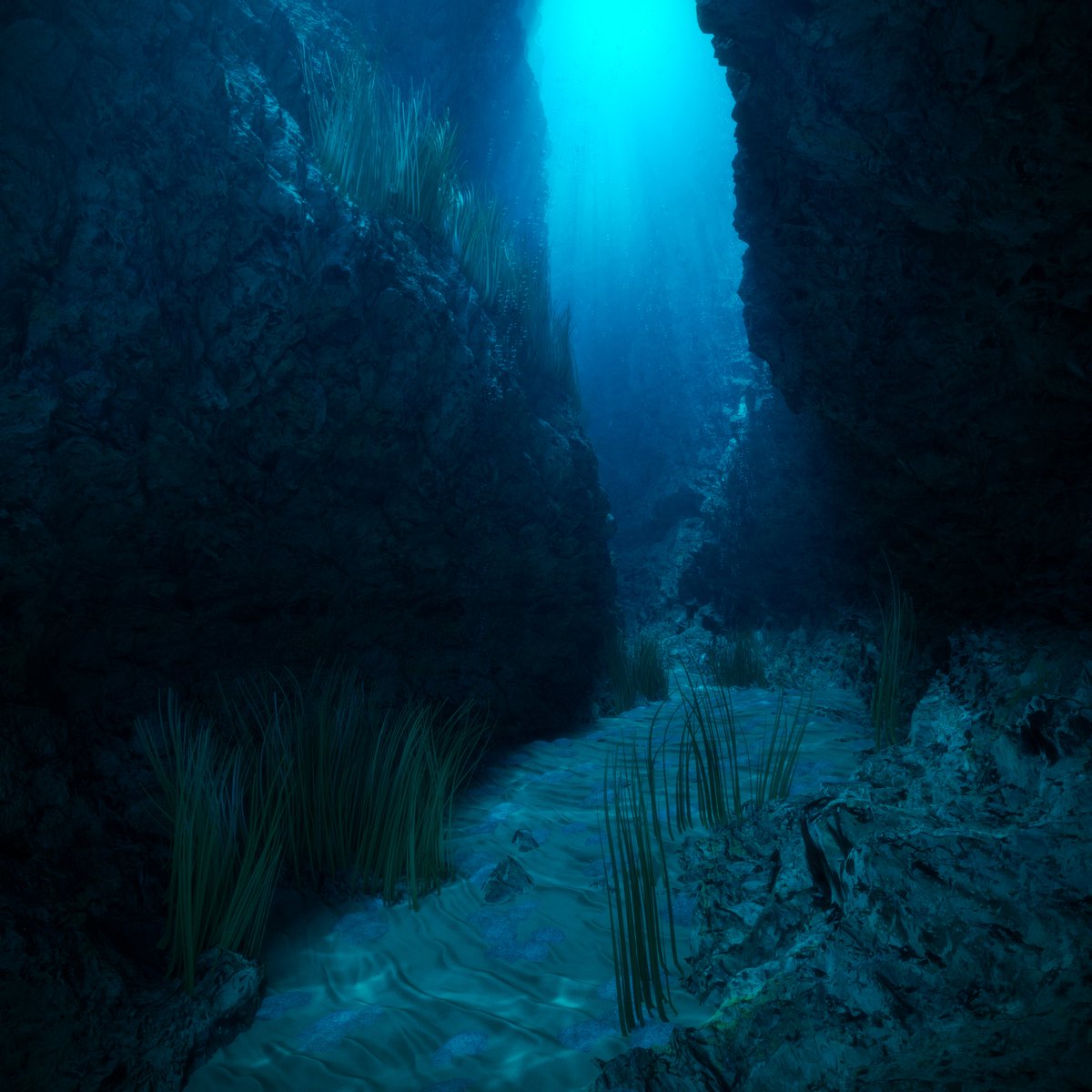 vernon_roberts's tweet photo. Sandy Bottom
.
.
.
#3d #3dart #digitalart #art #rendering #design #render #Nashvilleart #dailyrender #everyday #cgi #computergraphics #lighting #photography #redshift #C4D #Maxon #sandybottom #underwaterphotography #ocean #caves https://t.co/W4IvsCLZHF
