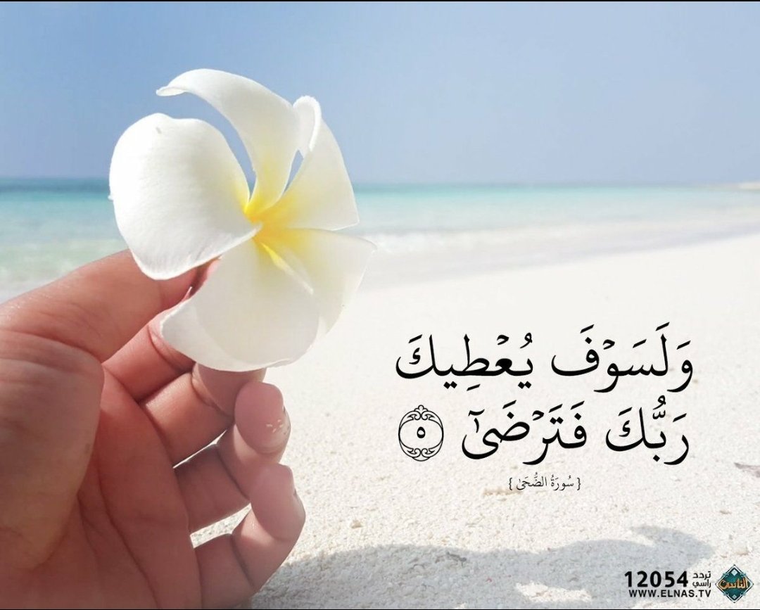 عماد الجميلي (@emad1982f) on Twitter photo 