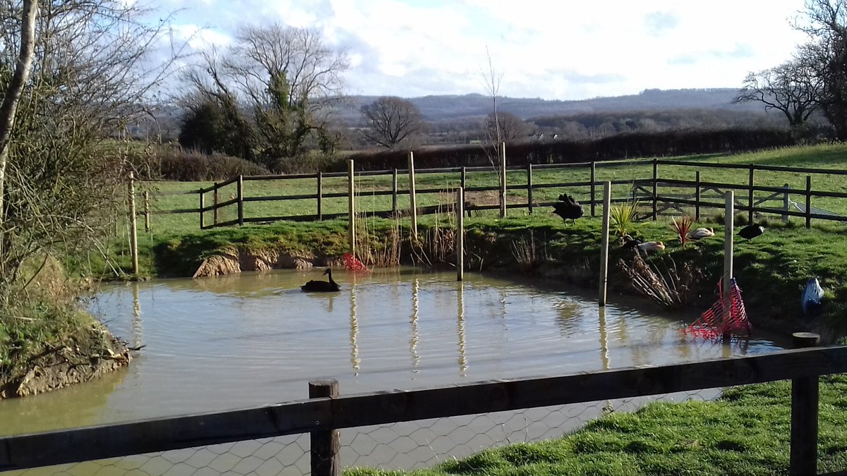KnollHillFarm's tweet photo. ⛅️A Nice View Of Knoll Hill Farm,
Looking out across the Somerset Hills in the distance.
No wonder our guests love staying with us.

#EarlyBiz #holiday #hotel #staycation #vacation https://t.co/5QWjGx2sIm