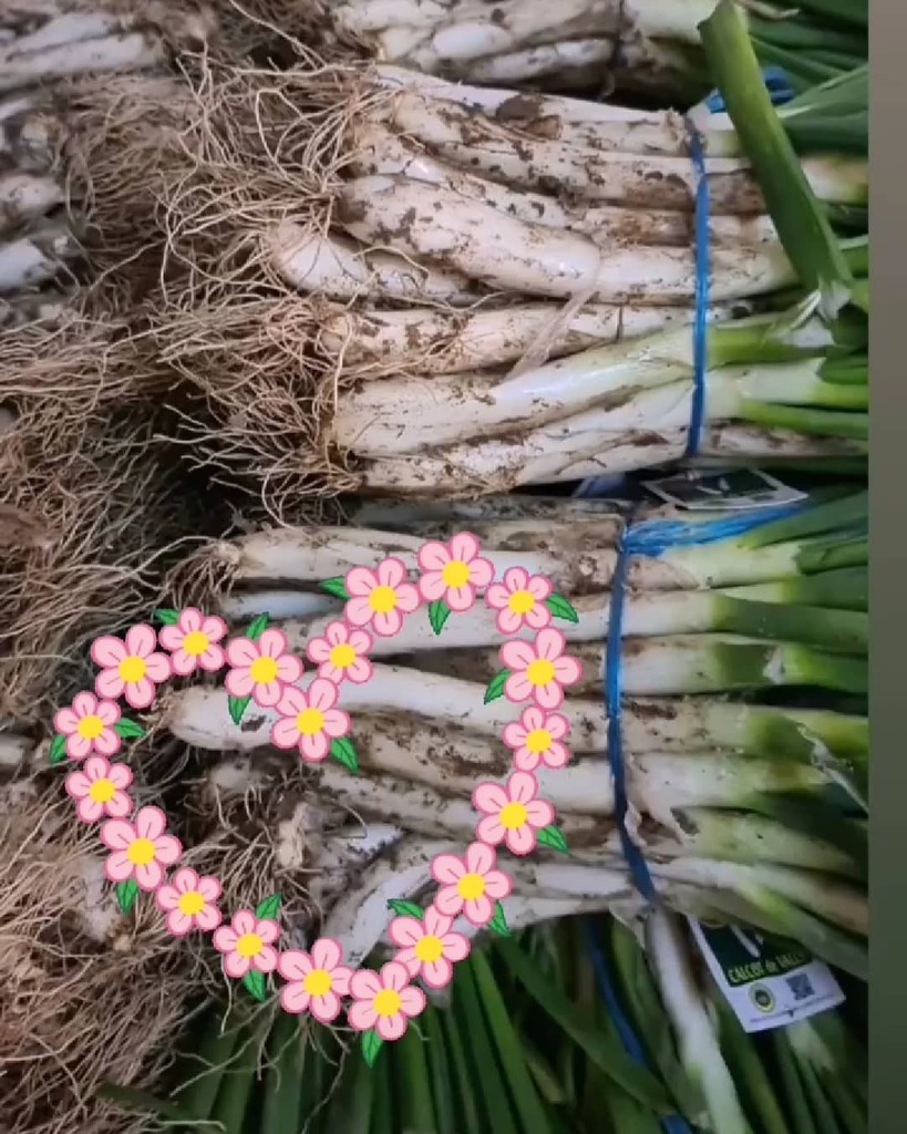 calsots's tweet photo. Quedan poquitas semanas para que puedas disfrutar de su sabor!!!.
.
.
.
#productoafrescos #productosdetemporada #salsaparacalçots #baberoscalçotada #calçotsdevalls #calsotsadomicilio #manojos #igp #igpcalsotsdevalls #igpcalçotsdevalls #comidaadomicilio https://t.co/IknzIbvTBU