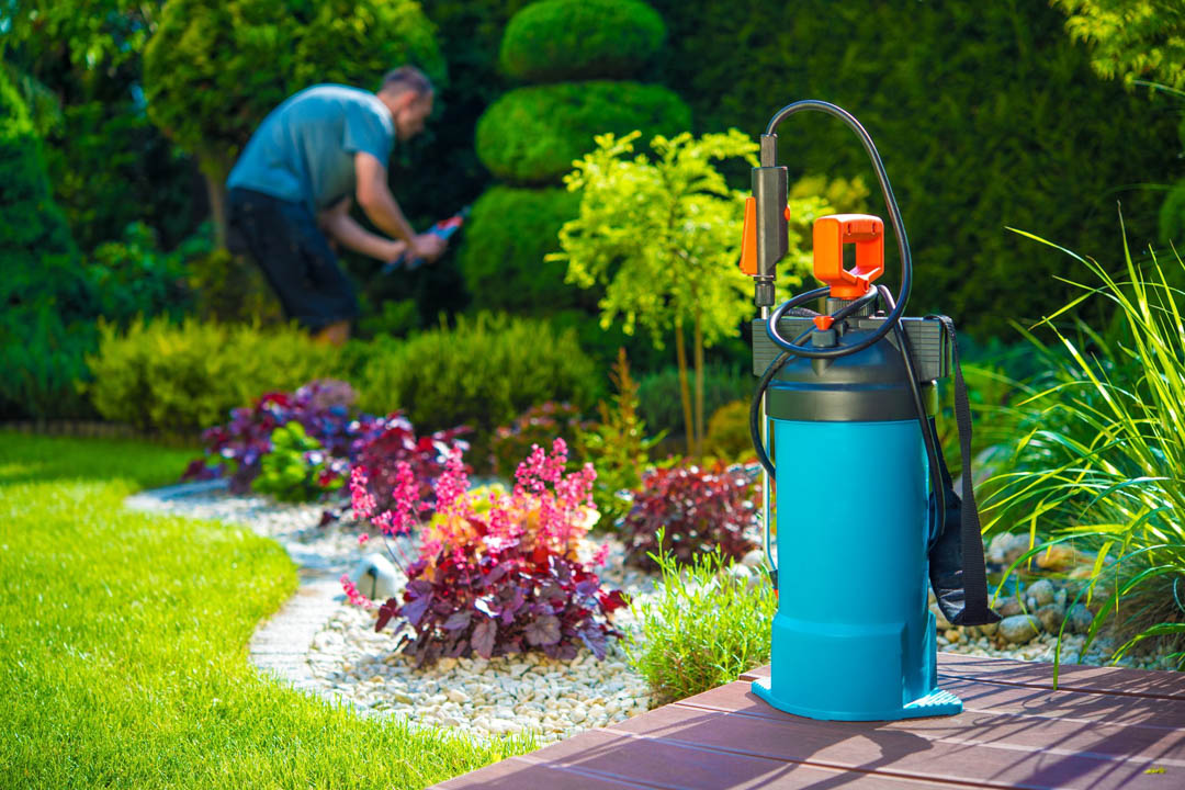 qualitytermite's tweet photo. Show your support for your local Pest Control Company company by liking, commenting, or sharing any of our posts! #QualityTermite&amp;PestControl#PlantationFL https://t.co/QwHqNCqaQs https://t.co/daJupSQAr3