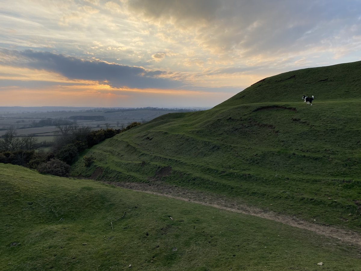 Burrough Hill tweet media