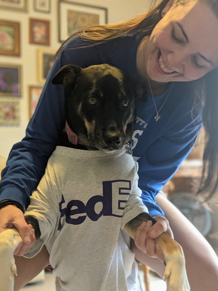 fannypackJ03's tweet photo. Happy #NationalPuppyDay to Lucy Lu!

We are still working on barking at only UPS drivers.. https://t.co/8zvY7SvRHK