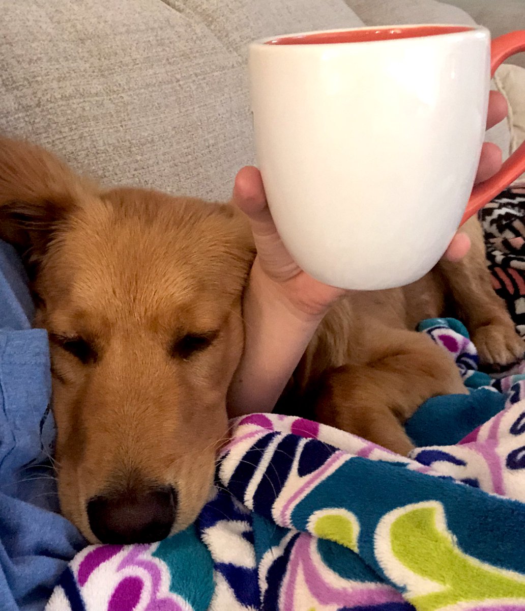 renae_jwils's tweet photo. So much attention needed when studying https://t.co/eeB1GPjatX
