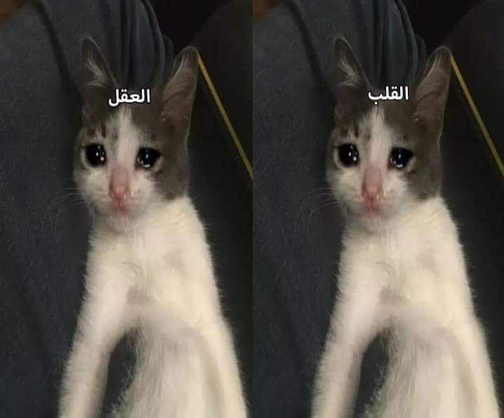 لا تثق في اختيارات قلبك...اختيارات العقل دايما انيل 😂🤭😂