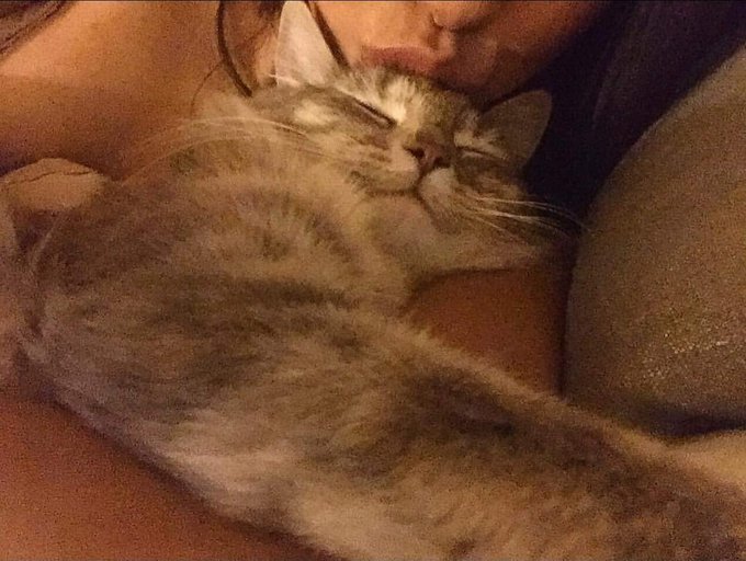 😍 https://t.co/2fHqiG4jLj