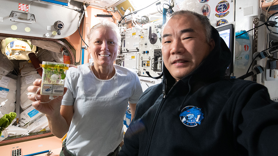 Expedition 64 Flight Engineers Shannon Walker and Soichi Noguchi are pictured as Walker displays plants grown for the Asian Herbs in Space agriculture study.