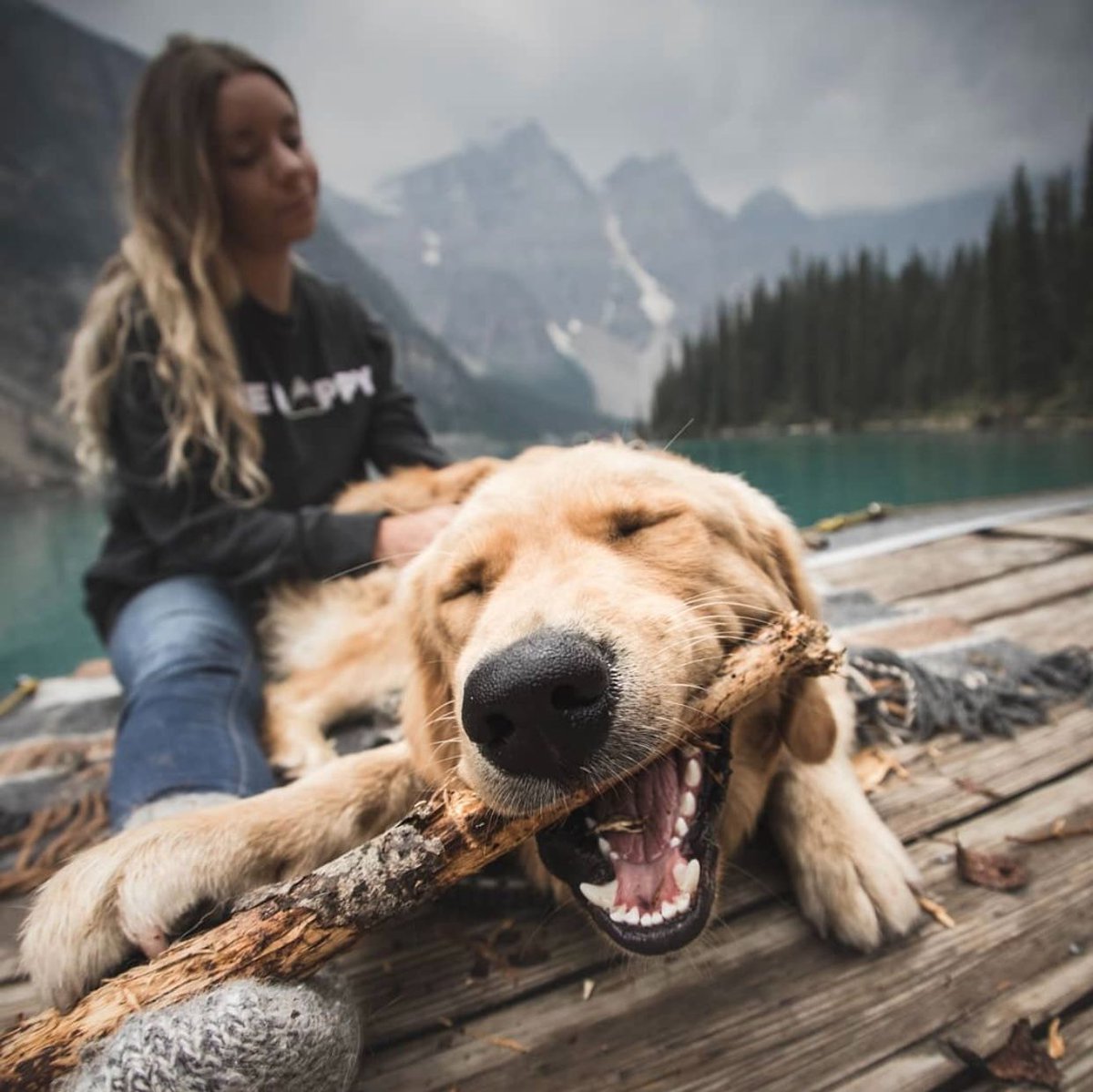 RuckifyRV's tweet photo. Happy Puppy Day! 🐶  Ruckify RV camping with pets tip: Make sure you have a pet tag on your puppy’s collar with a phone number. Do you take your pets camping? https://t.co/UIy2DCigrW