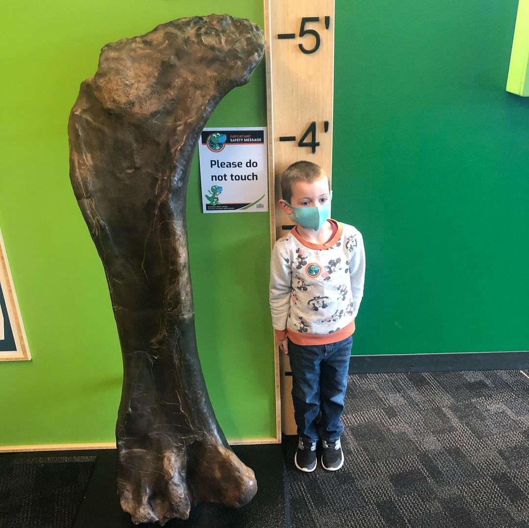 TCMIndy's tweet photo. Spring back into action! Our outdoor Riley Children’s Health Sports Legends Experience is now open along with all five floors of indoor fun. We can't wait for you to share more of your Mask On Memories with us using #MasksAtTCM! https://t.co/zELrPwsxXN