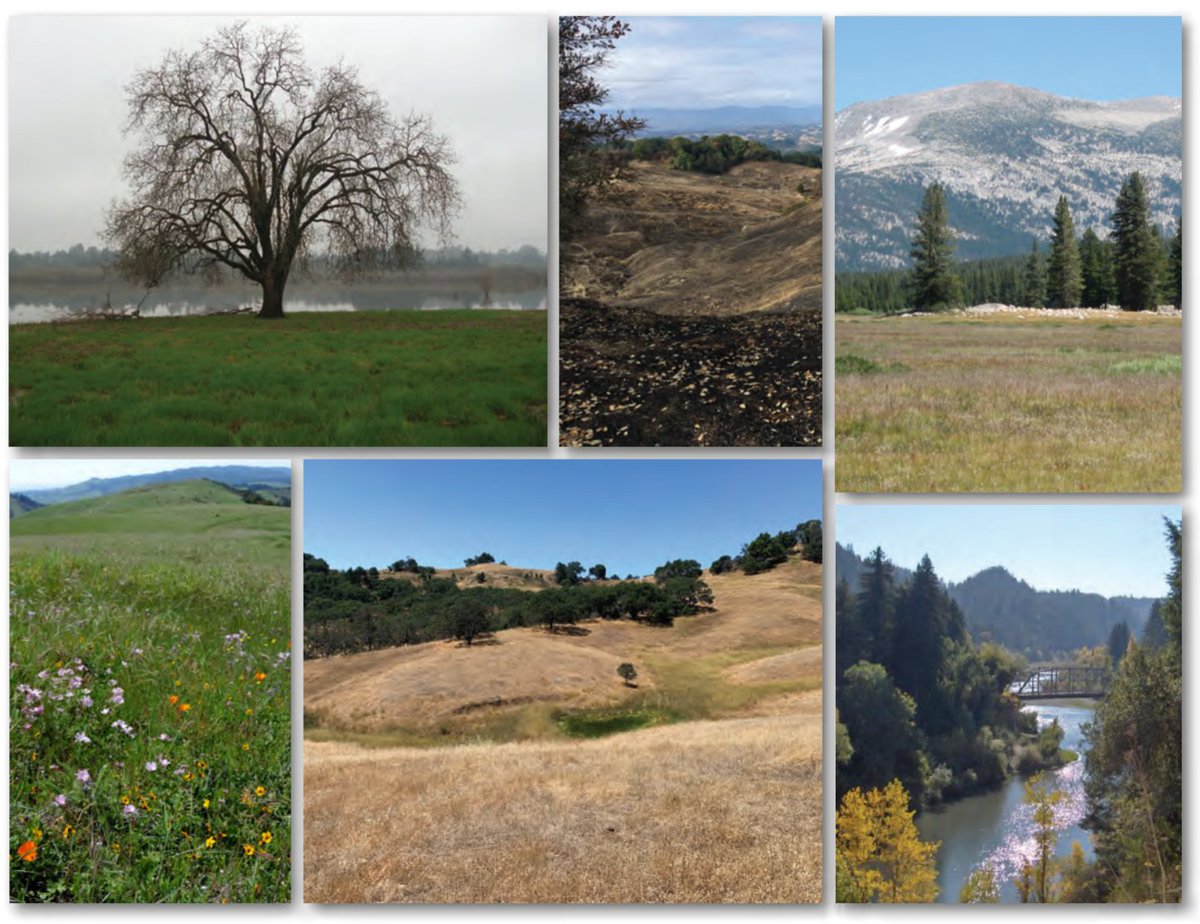 USGSwaterCA's tweet photo. The definitive guide to the BCM is here!  The Basin Characterization Model is a regional water balance software package that calculates the hydrologic inputs and outputs of a specific landscape area.

https://t.co/G7YguDAvtm

#CAwater #hydrologicmodel #watershedmodel https://t.co/oOHFYBgLrU