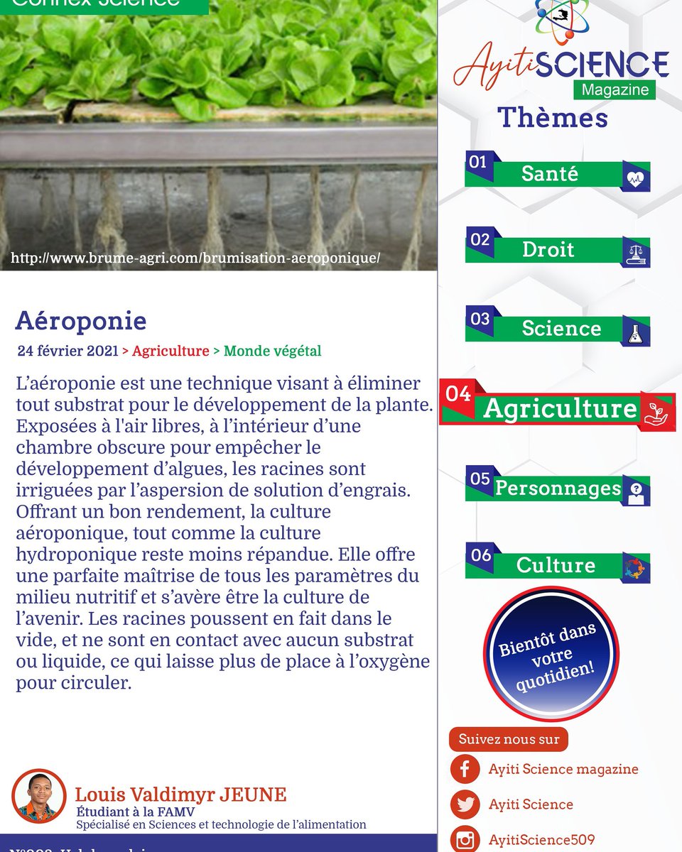 AyitiScience's tweet photo. A la découverte de l'aéroponie, une pure révolution dans la multiplication végétale dans le milieu agricole.
#plante
#climat
#sol
#agriculture https://t.co/PHju5ZMEEN
