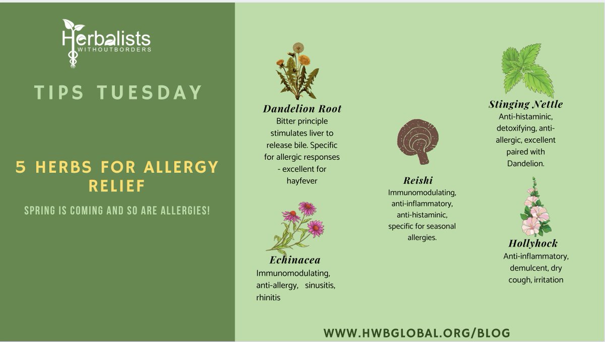 HerbalistswoBorders tweet media