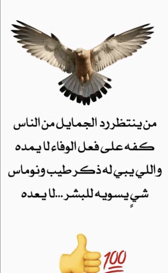 د. مساعد المرشدي tweet media