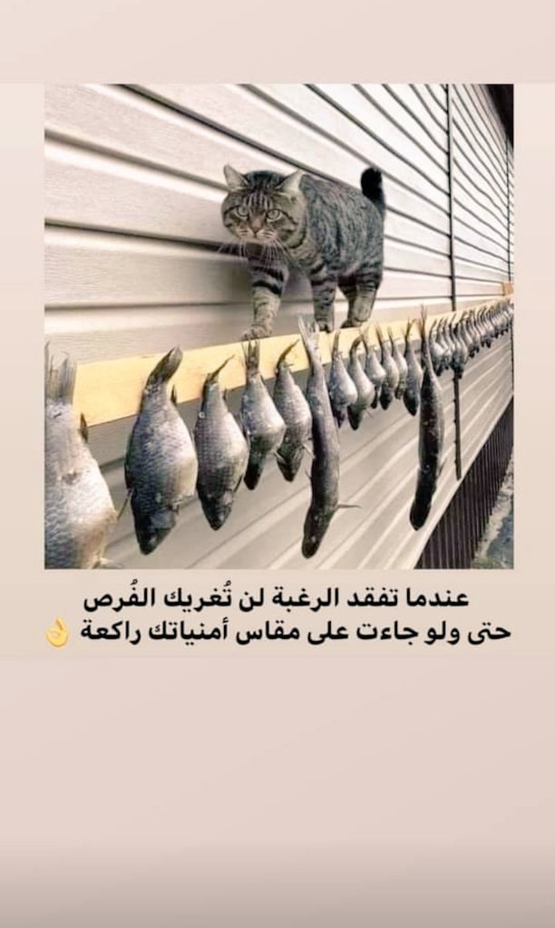 2_Palestine_1's tweet photo. @hawa_soul أقوى أنواع الضغط النفسي هو عندما تتضارب مشاعرك 
 بين الرغبة الشديدة في معرفة الحقيقة !
 وبين الخوف منها ومحاولة تحاشي سماعها ! https://t.co/OhkalmrsNk