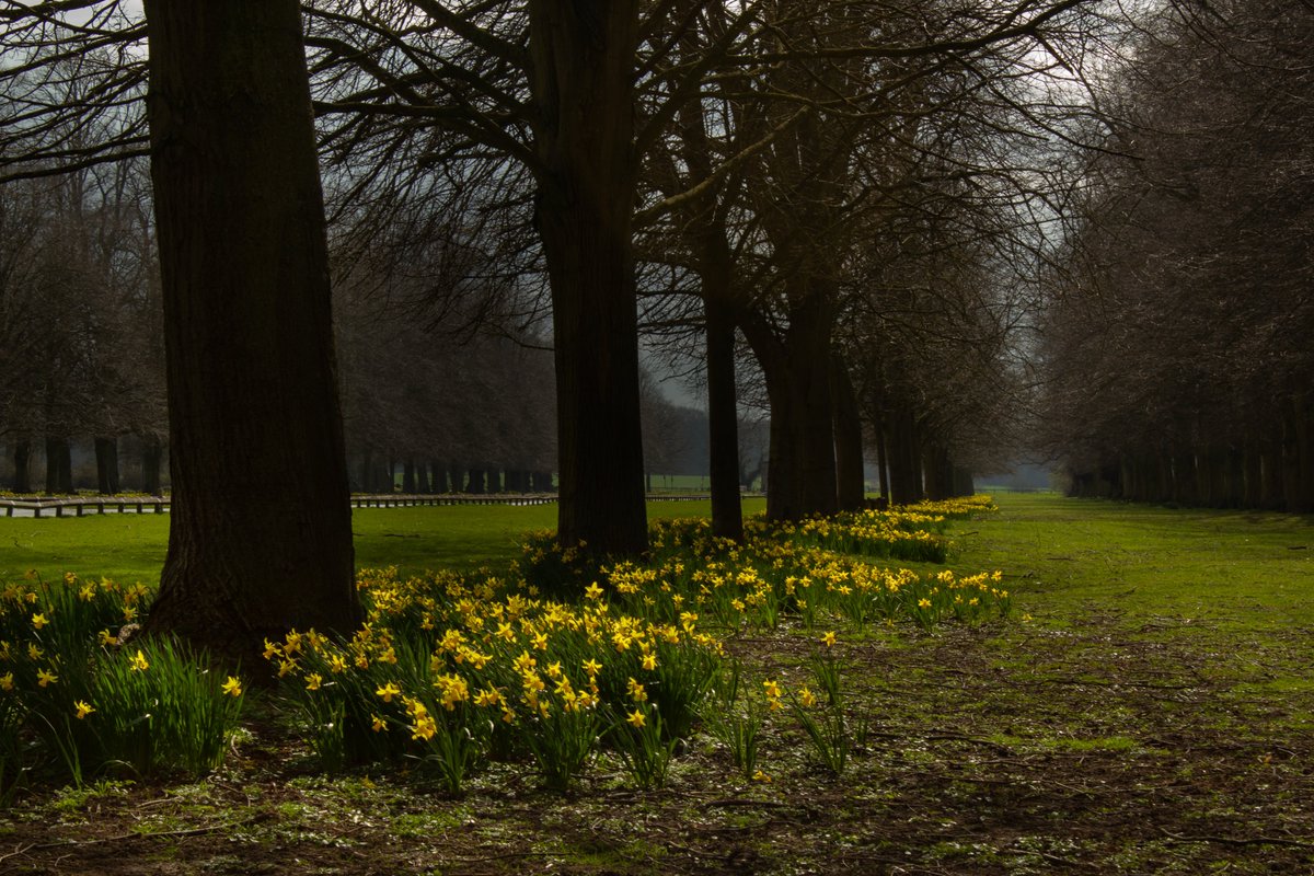 John Wilkinson tweet media