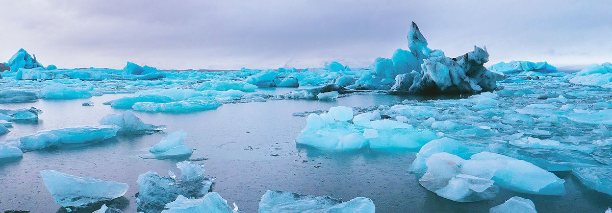 Care for a growler of home brew, anyone?