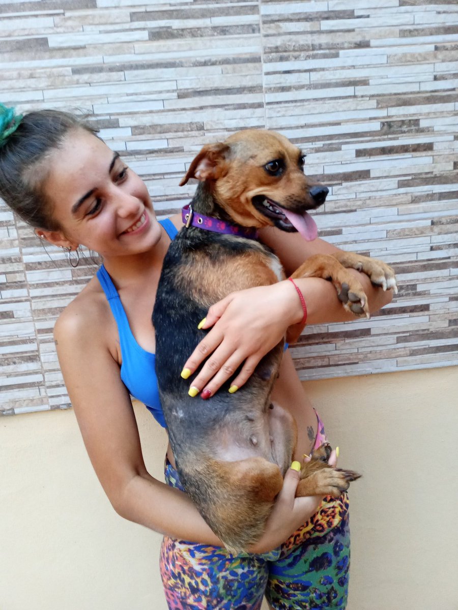 zahi_semhan's tweet photo. Posadas-Misiones
Realmente necesito ayuda gente,los q me conocen saben q soy rescatista y q tengo más de 14 perros en una casa común. Necesito difusión para encontrarle un hogar a Chiquita y a Negra nuevamente,ambas rescatadas y esterilizadas🙏🥺 https://t.co/NuvQ41ylzT