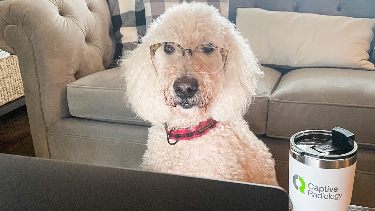 CaptiveRad's tweet photo. Our Chief Barketing Officer, Mia, can answer all your #radiology questions. Treats are appreciated. #NationalPuppyDay https://t.co/RaZDoje3FD