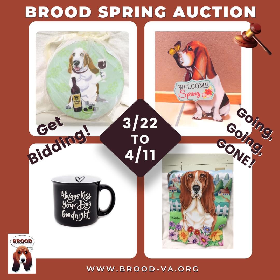 BROODva's tweet photo. BROOD's Spring Auction is Live!
Help support our rescue efforts!  Place your bids today.  Auction ends 4/11. https://t.co/cTAjoR0Qir https://t.co/Nmhx03qTUE