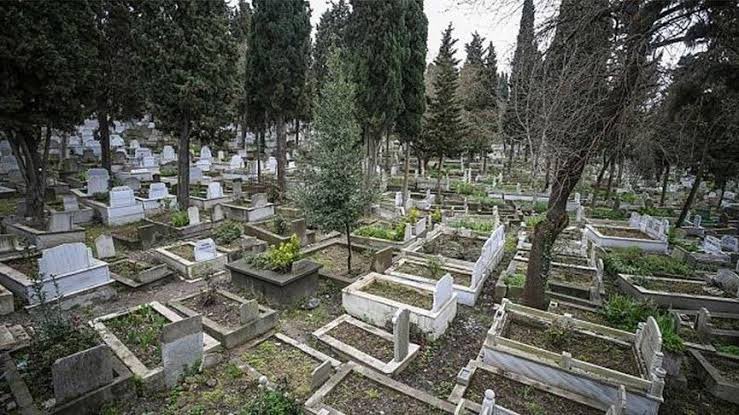 liseyeadalet's tweet photo. yaprak doker              bir yanimiz 
bir yanimiz (12ler)      bahar bahce(9,10,11)       
#Kabinedeniptalbekliyoruz https://t.co/amusAzVCUO
