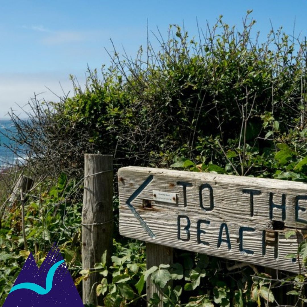 AdventureRaceSW's tweet photo. Get us in that sea! 🌊 Preferably with some sun ☀️

Exercising outside is good for the soul and we can't wait to get back to doing what we love surrounded by likeminded people 🤗  

Not long now folks!

#SWAR #Beach #Sea #Outdoors #Exercise #AdvenureRaces #Together #Goals https://t.co/gIjACKrBjl