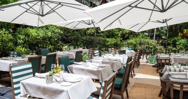 Carbón Negro · Juan Bravo 37 · 

Un enorme restaurante especializado en buena materia prima a la parrilla con una carta sana y deliciosa. 

La terraza se extiende bien cubierta de vegetación en pleno Barrio de Salamanca.

#buscatuterraza
#lasmejoresterrazas 
#terrazasdemadrid
