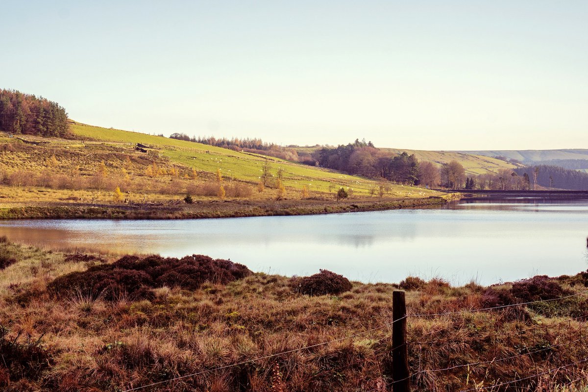 MIDDLEMEN tweet media