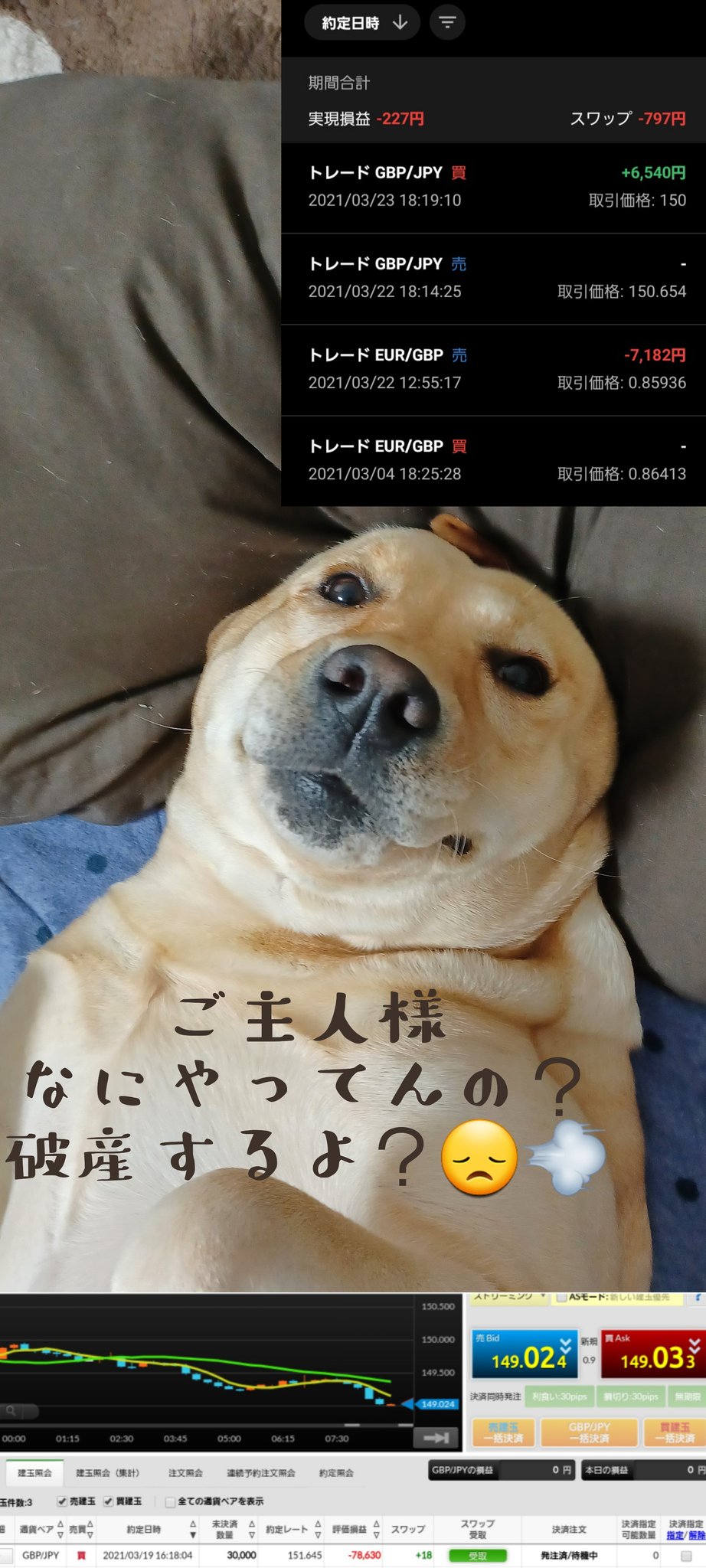 損切りできない Twitter Search Twitter